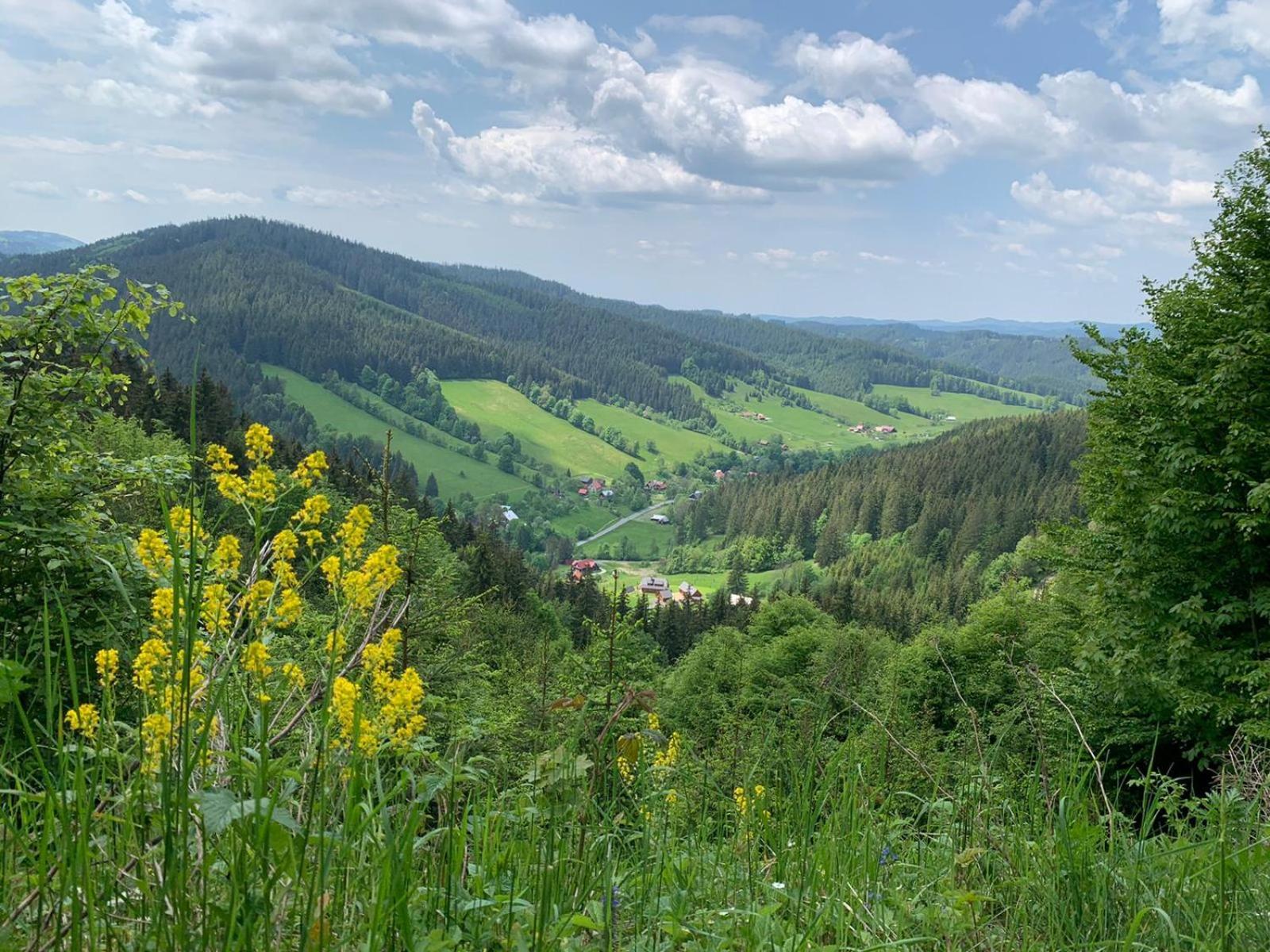 Apartmán Polanský Dvůr Velké Karlovice Exteriér fotografie